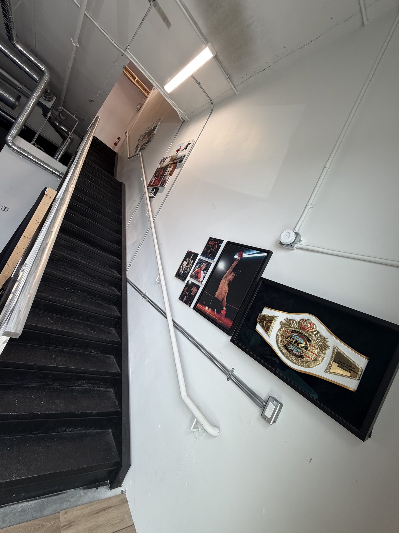 Langford Dojo stairs