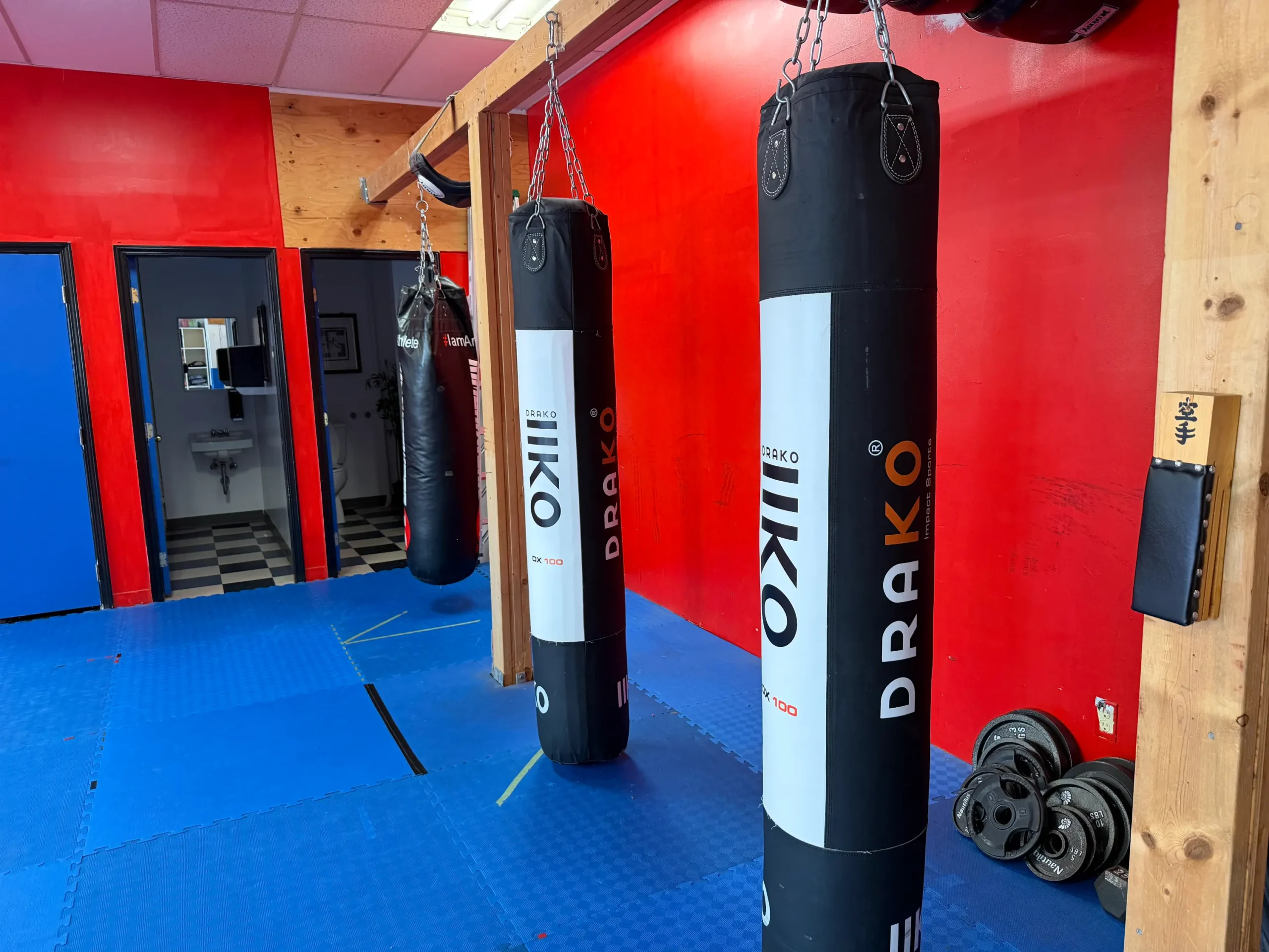 Hillside Dojo punching bags
