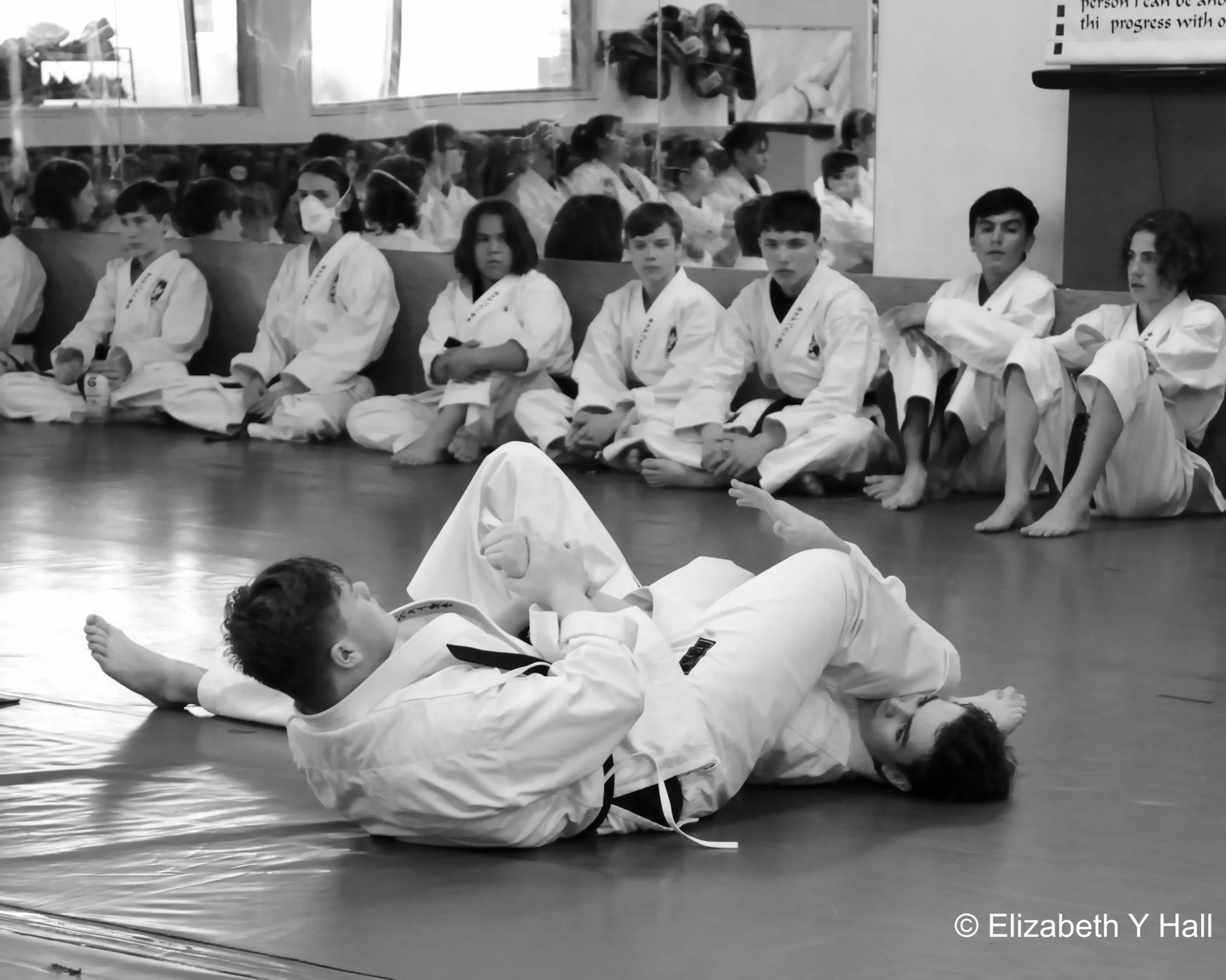 BJJ teens and adults at True North Dojo