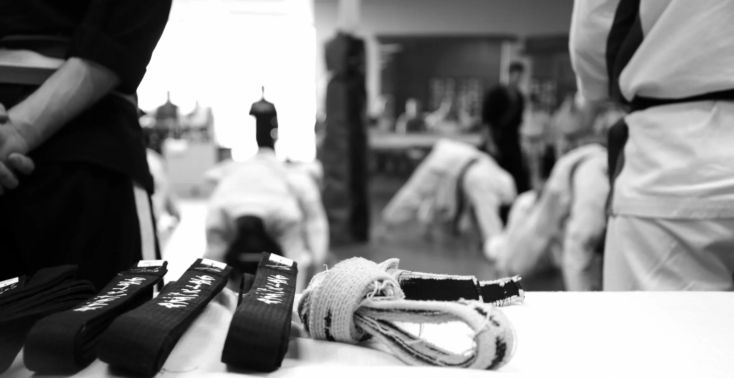 True North Dojo black belts